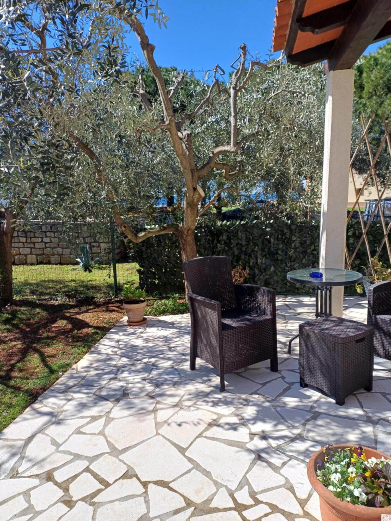 Apartments Grahovac أوماغ المظهر الخارجي الصورة
