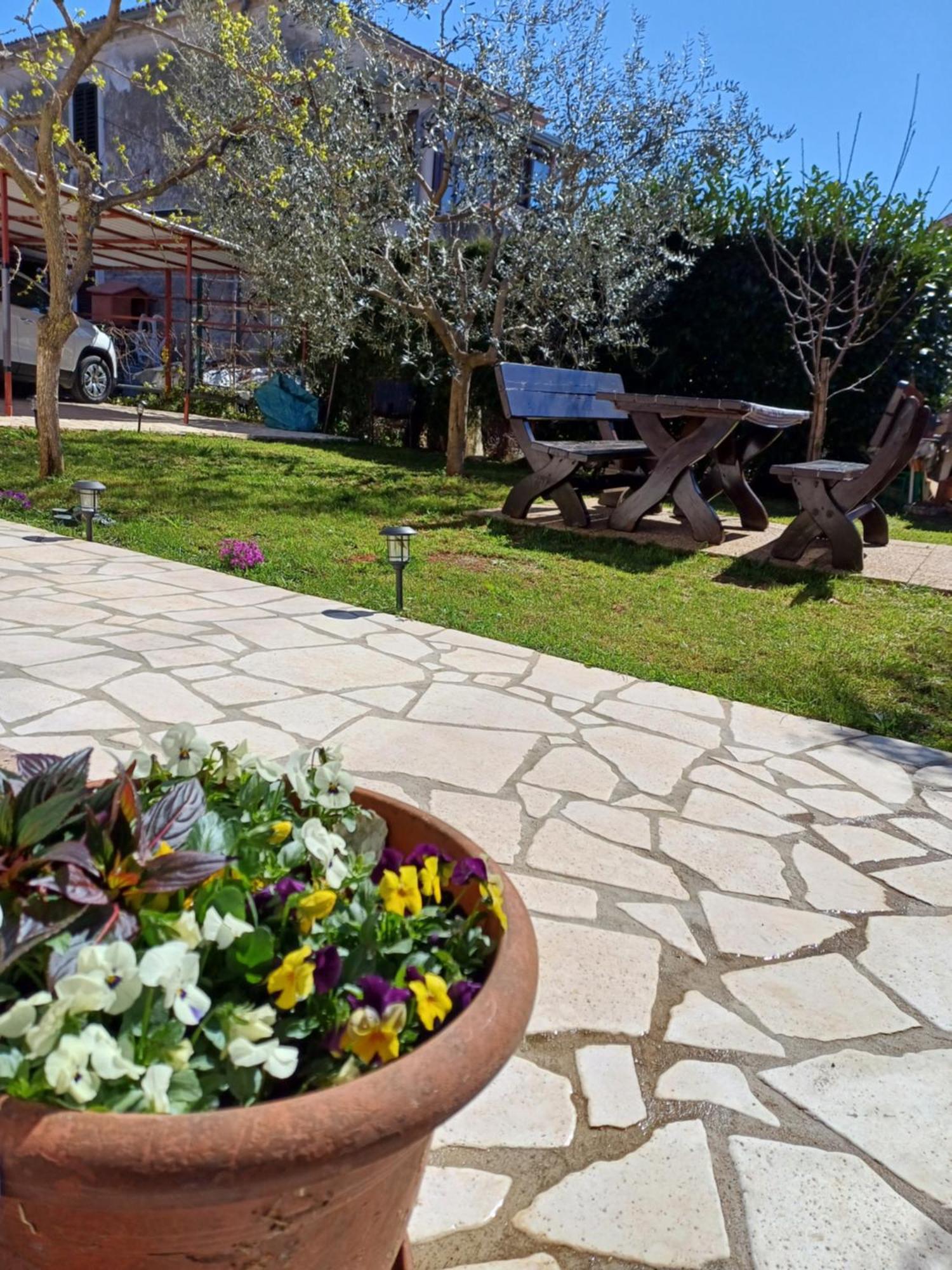 Apartments Grahovac أوماغ المظهر الخارجي الصورة