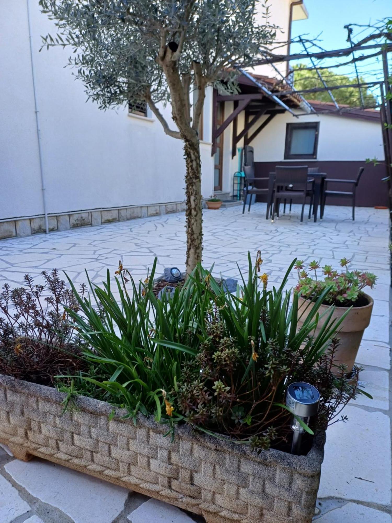 Apartments Grahovac أوماغ المظهر الخارجي الصورة