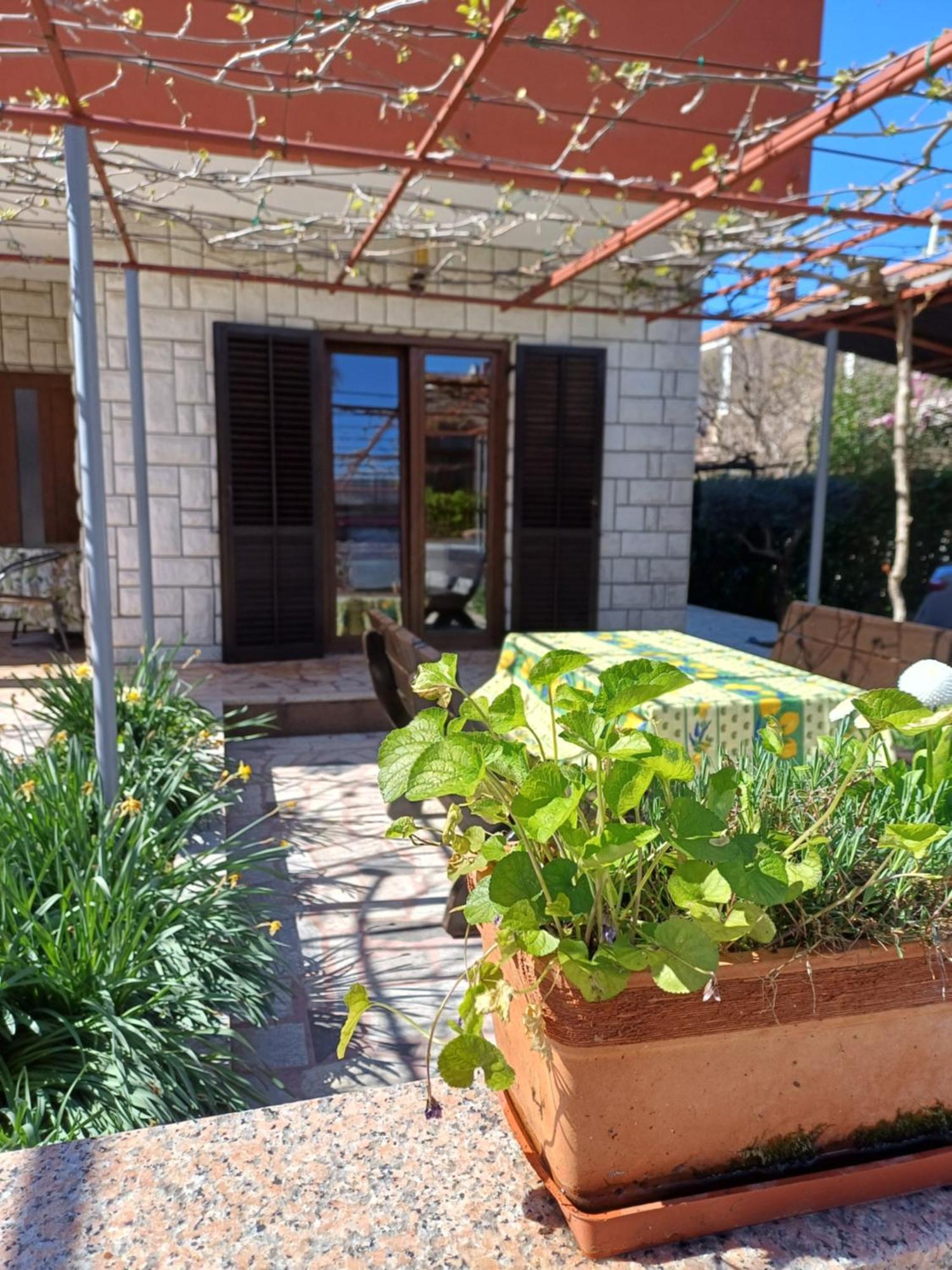 Apartments Grahovac أوماغ المظهر الخارجي الصورة