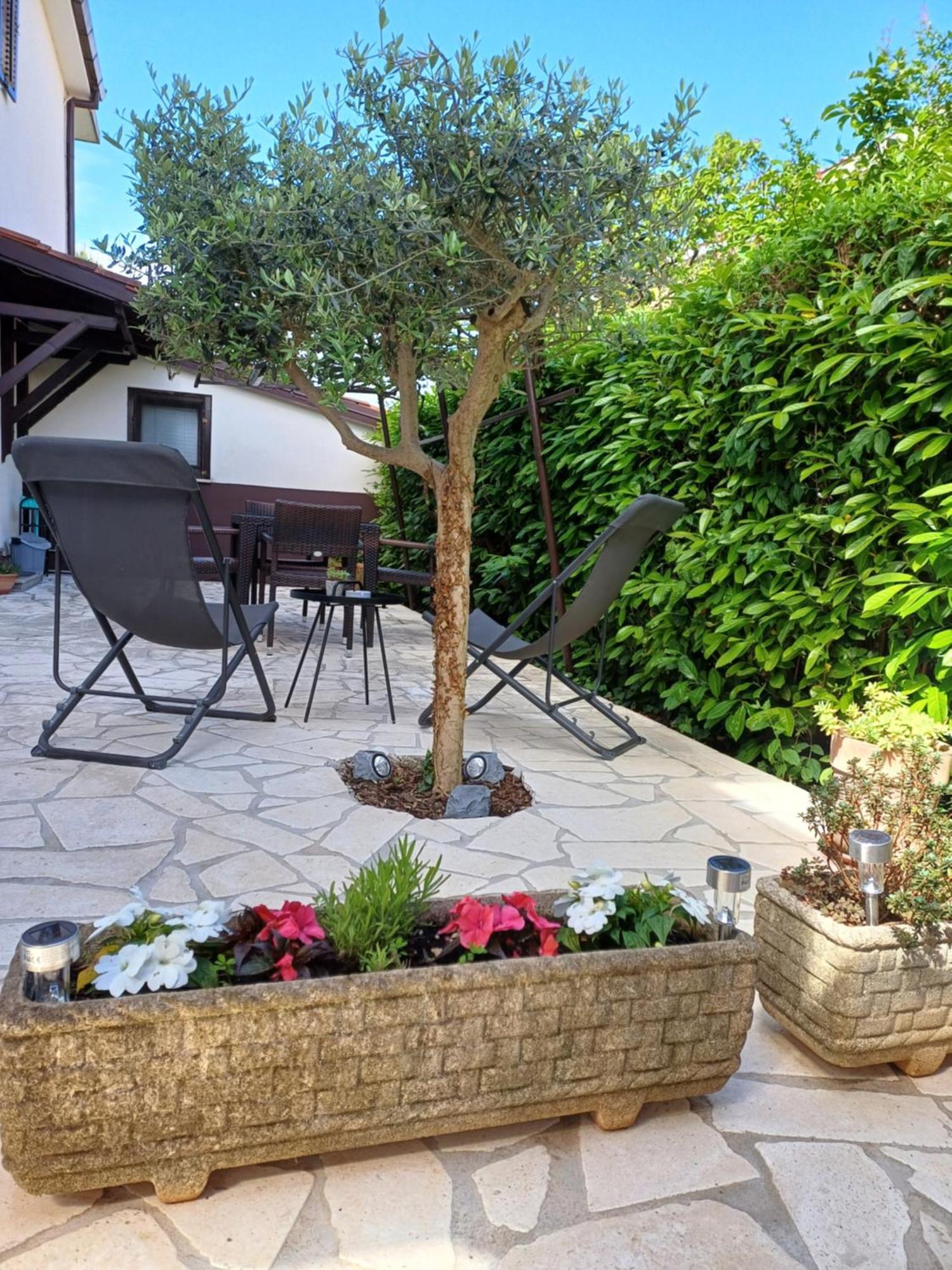 Apartments Grahovac أوماغ المظهر الخارجي الصورة